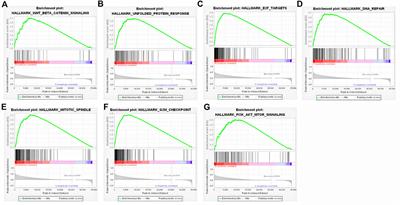 Highly expressed FAM189B predicts poor prognosis in hepatocellular carcinoma